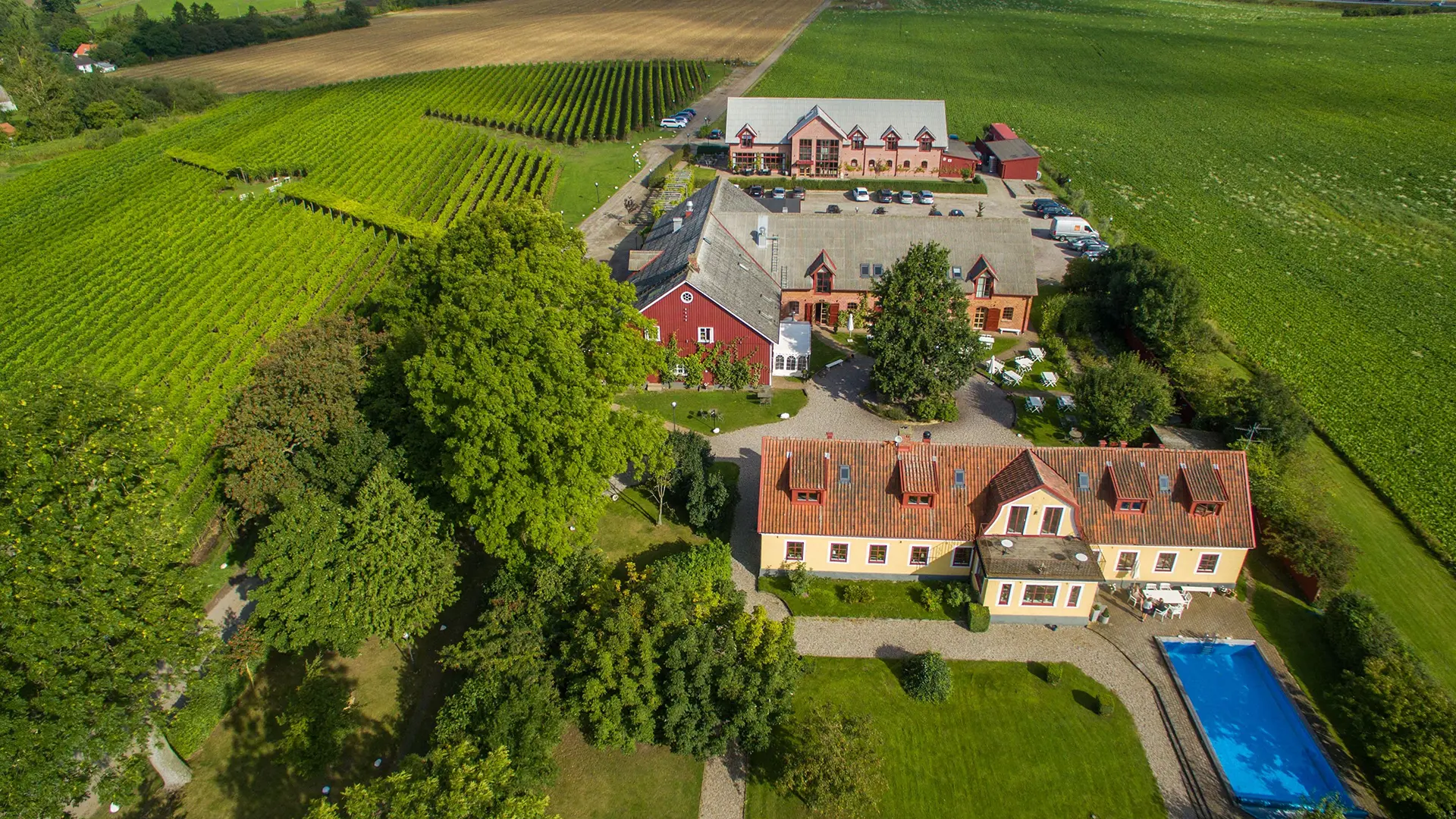 Flygfoto över Flädie Mat & Vingård med frodiga vinodlingar, charmiga gula byggnader med tegeltak och en pool i trädgården. En idyllisk vingård omgiven av grönskande landskap.