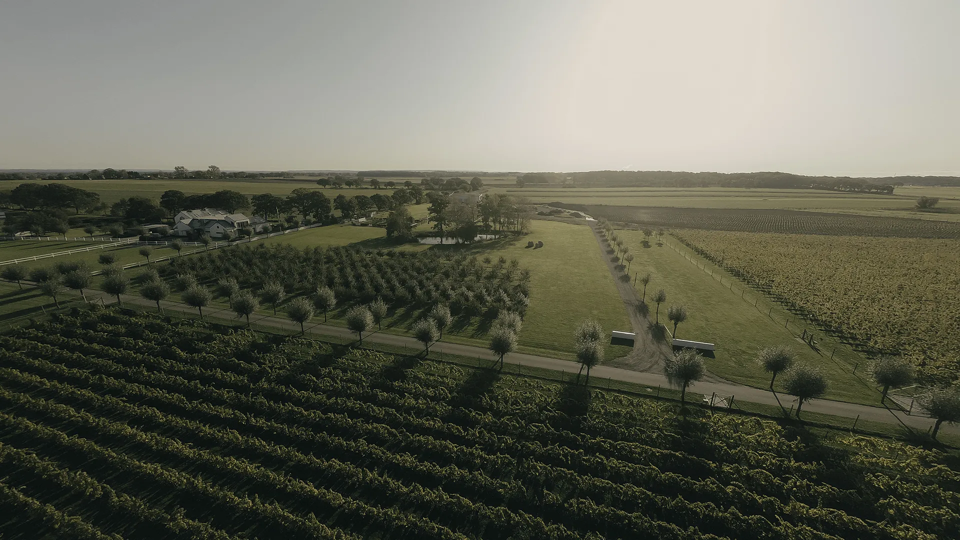 Flygfoto över Lottenlund Estate med prydliga vinodlingar, grönskande landskap och en elegant herrgård. En naturskön vingårdsmiljö i harmoni med naturen.